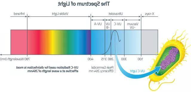 紫外线杀菌原理