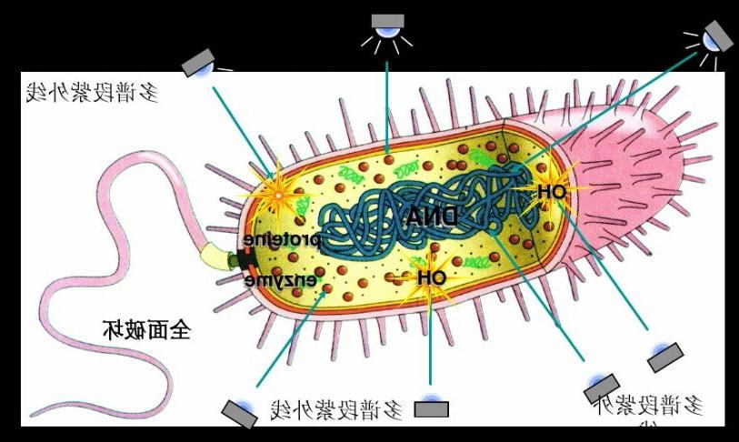 瑞朗中压紫外线杀菌